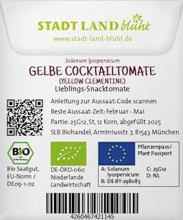 Saaten, Gelbe Cocktailtomate (Yellow Clementine) Stadt Land blüht