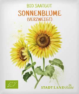 Saaten, Sonnenblume (grossblumig) Stadt Land blüht