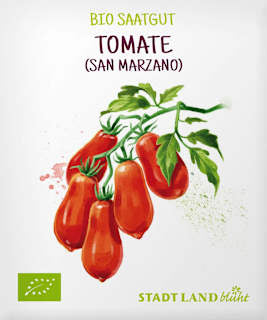 Saaten, Tomate (San Marzano) Stadt Land blüht