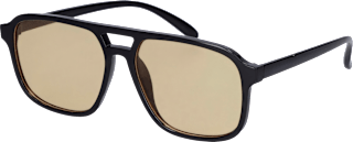 Sonnenbrille Erwachsene schwarzes Gestell, beigefarbene Gläser SUNDANCE