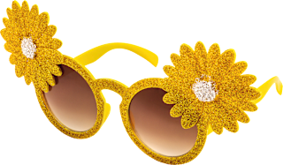 Sonnenbrille mit goldenen Glitzerblumen SUNDANCE