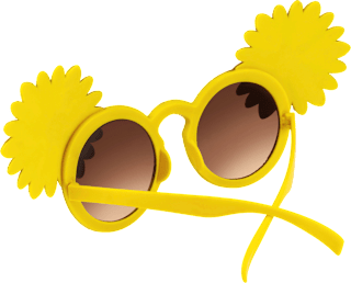 Sonnenbrille mit goldenen Glitzerblumen SUNDANCE