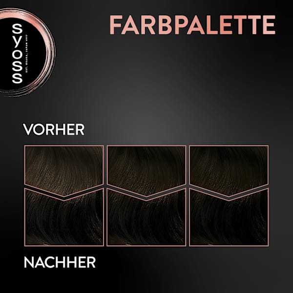 Haarfarbe 3_1 Dunkelbraun Syoss