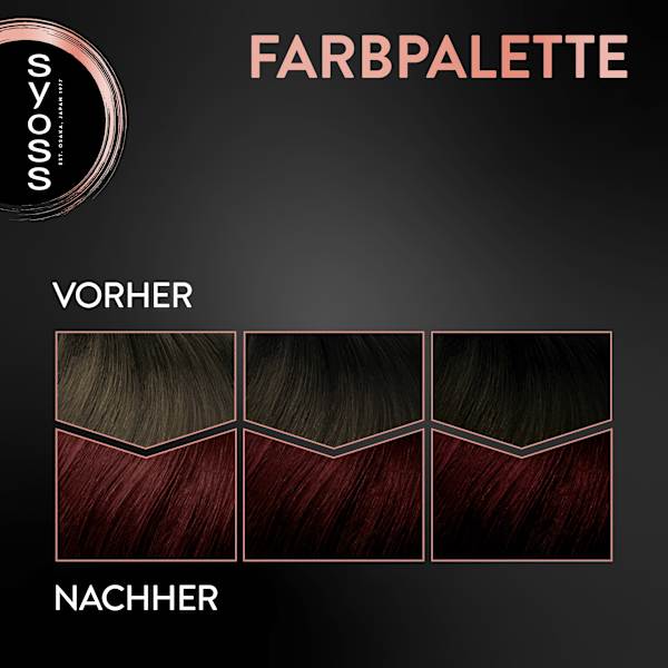 Haarfarbe 4_2 Mahagoni Syoss