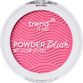 Blush Powder 080 trend !t up