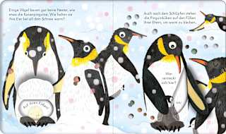 Kinderbuch Guck mal, wer da ist! Im Vogelnest Usborne