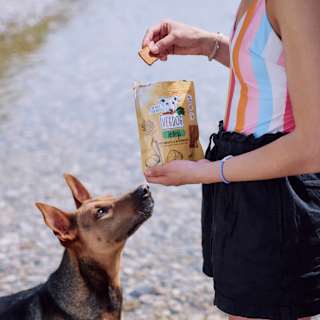 Hundeleckerli mit Karotte & Buchenrauch, Jerkeys  VEGDOG