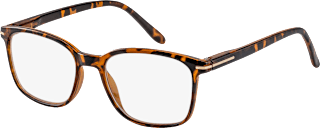 Fertig-Lesebrille glänzend/transparent demi braun +2,50 Visiomax