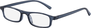 Fertig-Lesebrille grau/blau +2,00 Visiomax