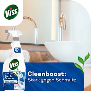 Badreiniger Kraft & Glanz Viss