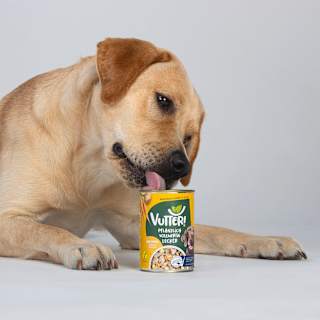 Nassfutter Hund, Vegan wie Huhn VUTTER!