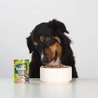 Nassfutter Hund, Vegan wie Lamm VUTTER!