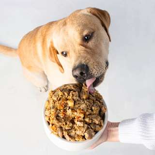 Nassfutter Hund, Vegan wie Pute VUTTER!