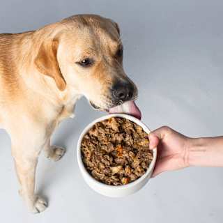 Nassfutter Hund, Vegan wie Rind VUTTER!