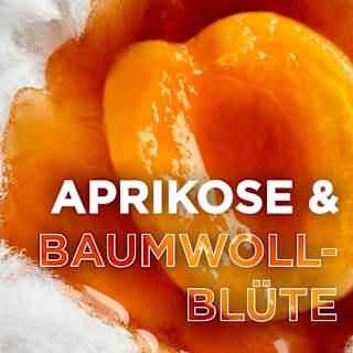 Kinder Shampoo & Spülung 2in1 Aprikose & Baumwollblüte  Wahre Schätze
