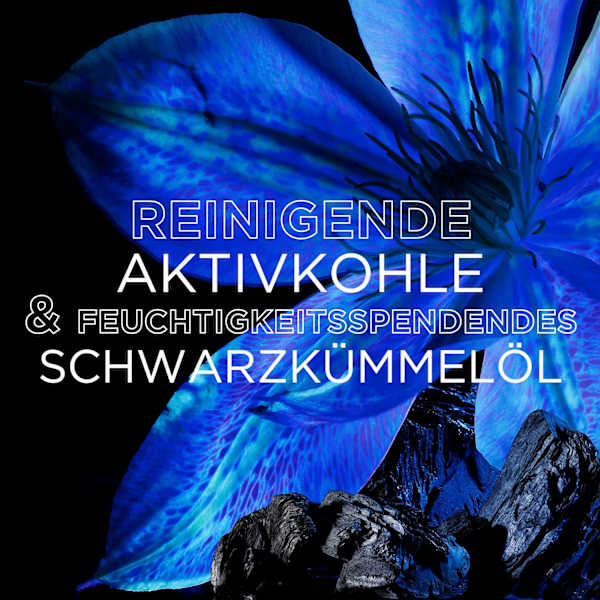 Shampoo Aktivkohle, fettige Kopfhaut Wahre Schätze
