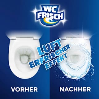 WC-Reiniger Gel Lemon WC-Frisch