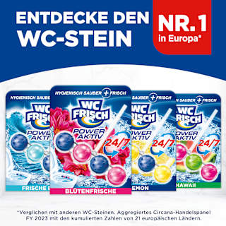 WC-Stein Kraft Aktiv Blütenfrische WC-Frisch