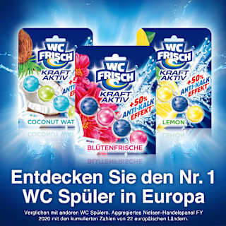 WC-Stein Kraft Aktiv Blütenfrische  WC-Frisch