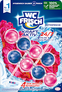WC-Stein Kraft Aktiv Blütenfrische  WC-Frisch