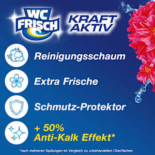 WC-Stein Kraft Aktiv Blütenfrische WC-Frisch