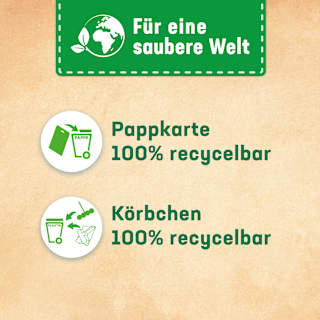 WC-Stein Kraft Aktiv Blütenfrische  WC-Frisch