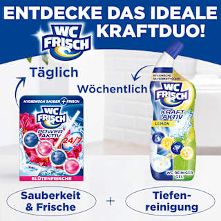 WC-Stein Kraft Aktiv Blütenfrische WC-Frisch