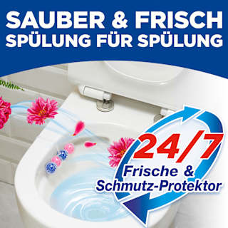 WC-Stein Kraft Aktiv Blütenfrische WC-Frisch