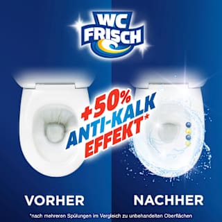 WC-Stein Kraft Aktiv Blütenfrische WC-Frisch