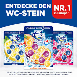 WC-Stein Kraft Aktiv Früchtezauber WC-Frisch