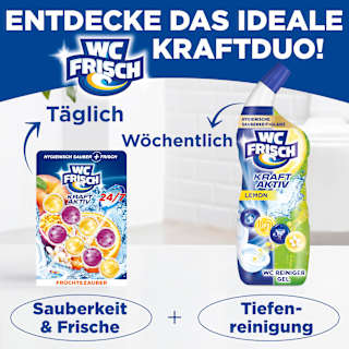 WC-Stein Kraft Aktiv Früchtezauber WC-Frisch