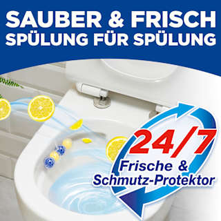 WC-Stein Kraft Aktiv Lemon WC-Frisch