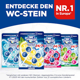 WC-Stein Kraft Aktiv Lemon WC-Frisch