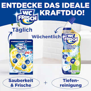 WC-Stein Kraft Aktiv Lemon WC-Frisch