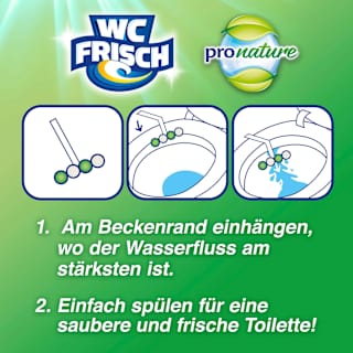 WC-Stein Kraft Aktiv Pro Nature Minze & Eukalyptus WC-Frisch