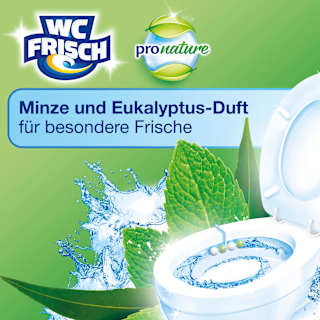 WC-Stein Kraft Aktiv Pro Nature Minze & Eukalyptus WC-Frisch