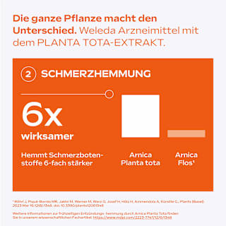 Arnika-Salbe 10% WELEDA