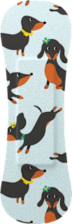 Geschenkset Pflaster Kinder Wild Stripes Cute Animals Wild Stripes