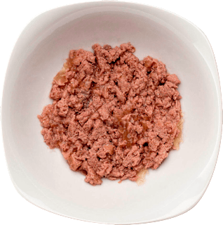 Nassfutter Katze, Probierbox, Multipack (8x100 g) Wildes Land
