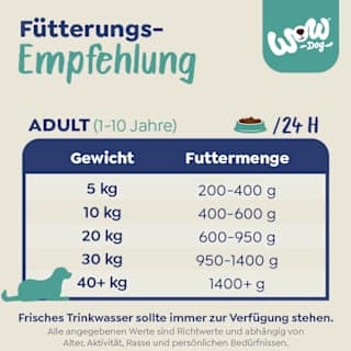 Nassfutter Hund mit Lachs, Löwenzahn & Brennnessel, Adult WOW