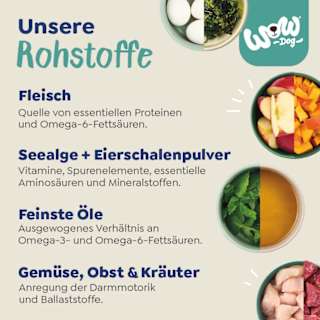 Nassfutter Hund mit Pute, Zucchini & Löwenzahn, Adult WOW