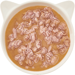 Nassfutter Katze Lachs in Sauce WOW