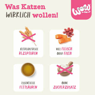 Nassfutter Katze Rind in Sauce WOW