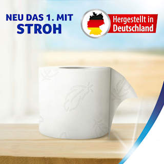 Toilettenpapier bewährt 3-lagig (16x150 Blatt) Zewa