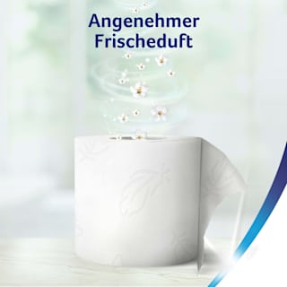 Toilettenpapier Lufterfrischer 3-lagig (8x150 Blatt) Zewa