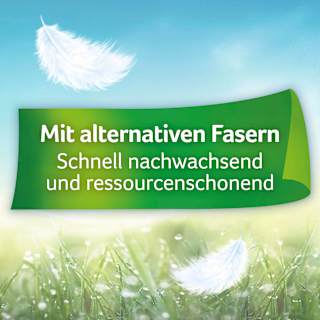 Toilettenpapier Ultra Soft 4-lagig (20x150 Blatt) Zewa